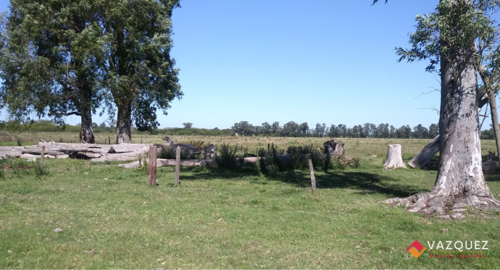 Apto Ganaderia y Tambo  con RENTA