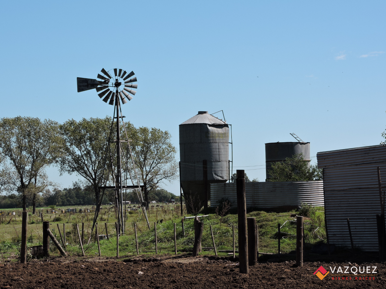 Apto Ganaderia y Tambo  con RENTA