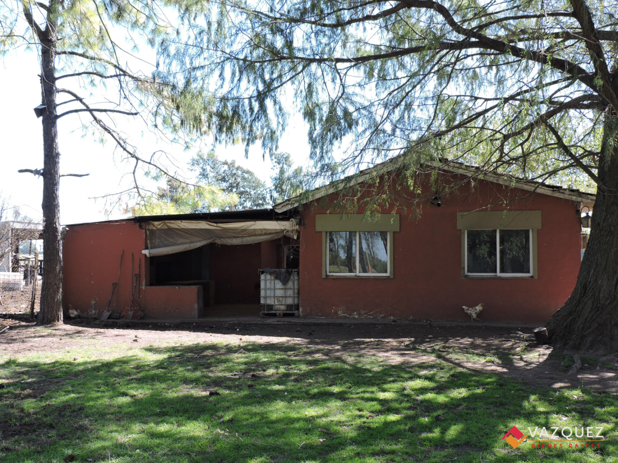 Apto Ganaderia y Tambo  con RENTA