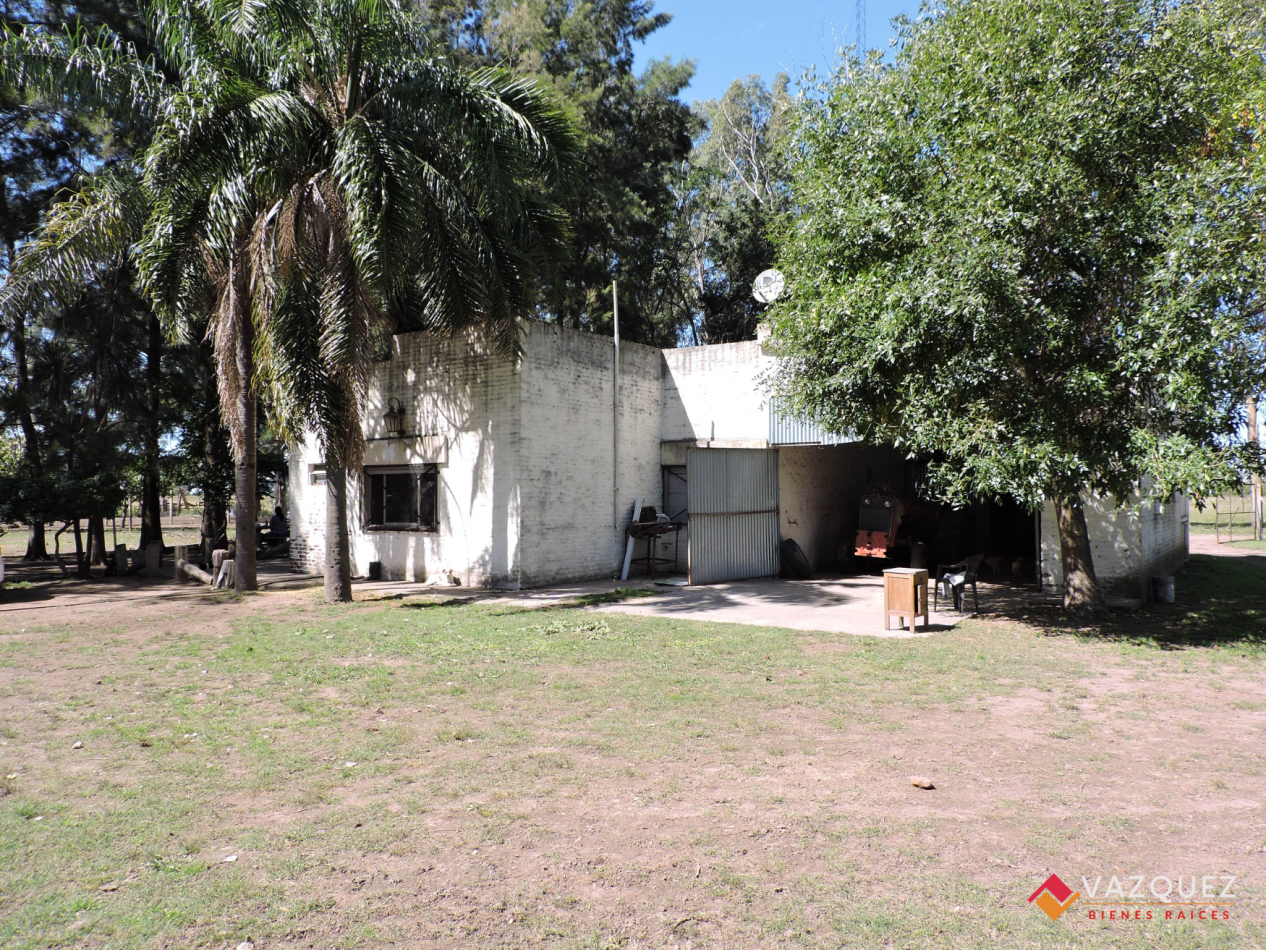 Apto Ganaderia y Tambo  con RENTA