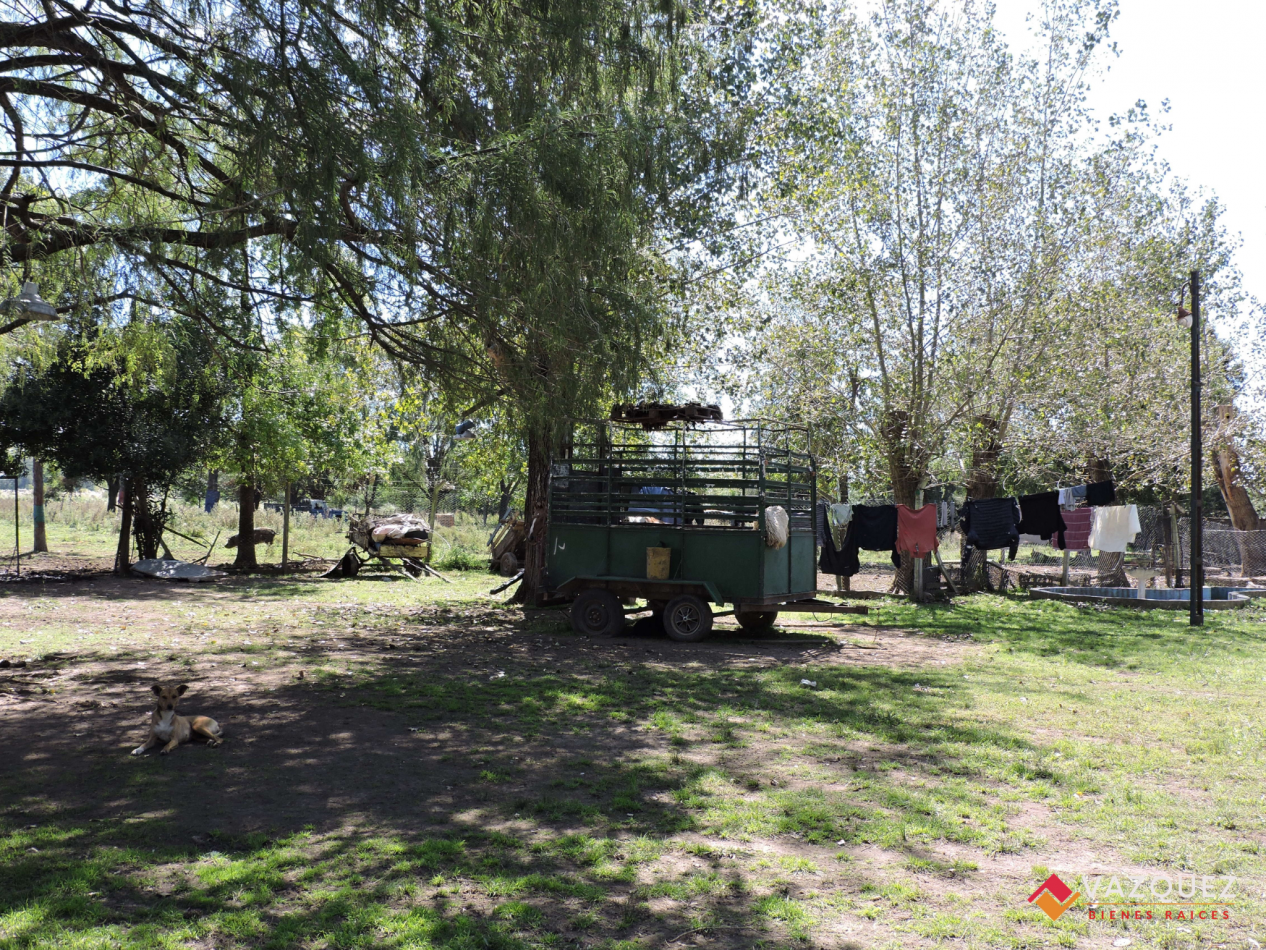 Apto Ganaderia y Tambo  con RENTA
