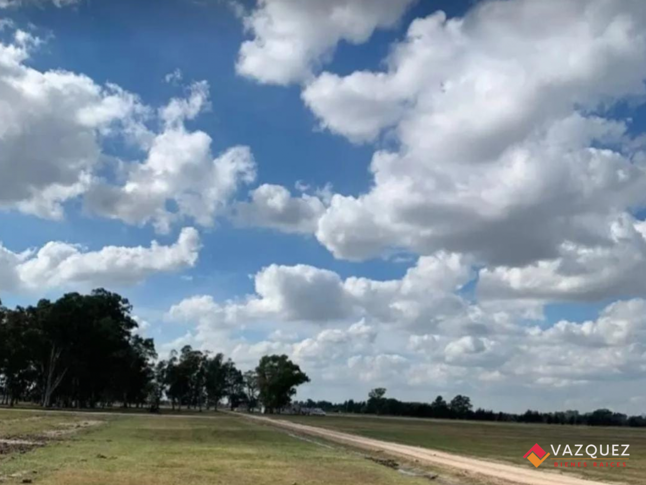 Lote  barrio cerrado Fincas Joven, San Vicente