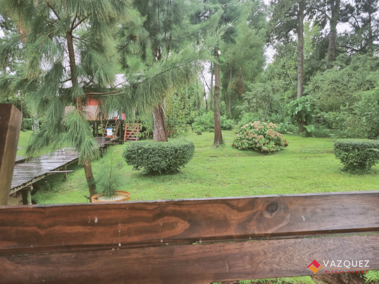 Isla en el Tigre Parana de Las Palmas